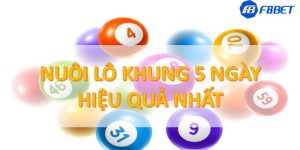 Bạch thủ lô kép khung 5 ngày