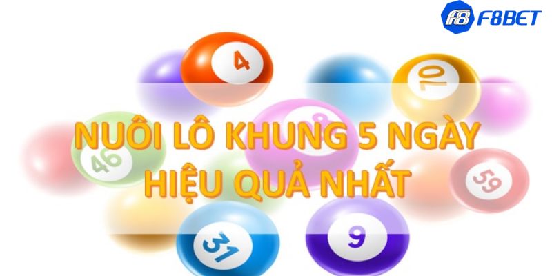 Bạch thủ lô kép khung 5 ngày