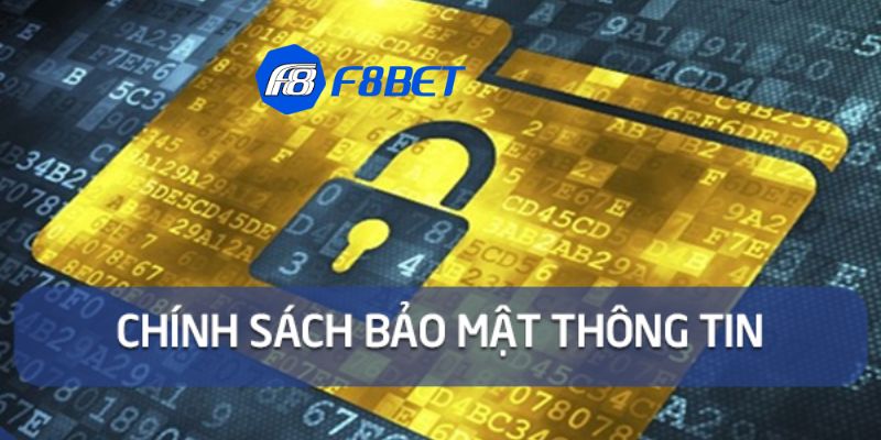 Quyền lợi và trách nhiệm của các thành viên tham gia tại nhà cái