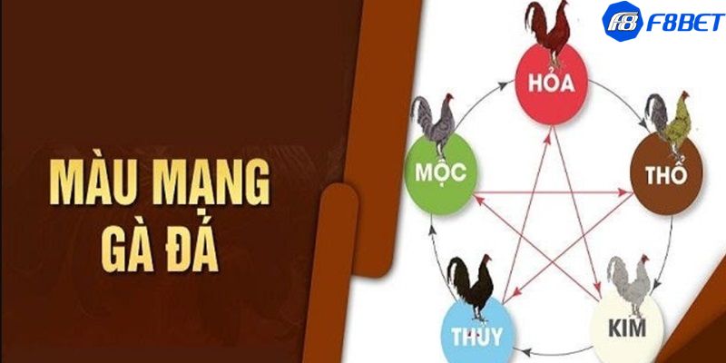 màu mạng gà đá theo ngày Khám phá ý nghĩa của màu mạng gà đá theo ngày