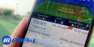 phần mềm cá độ bóng đá