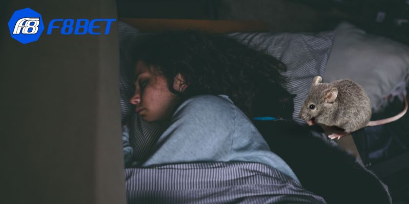Cách hạn chế rủi ro sai khi nằm mơ thấy chuột