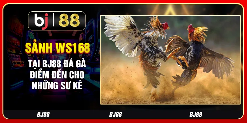 Sảnh Ws168 Tại Bj88 Đá Gà – Điểm Đến Cho Những Sư Kê