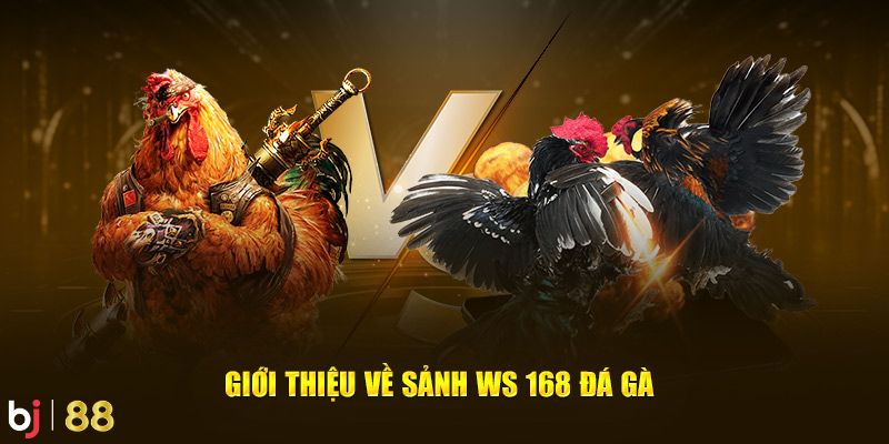 Trực tiếp nhanh chóng và sắc nét