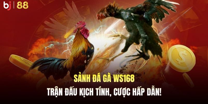 Sảnh cược hấp dẫn nhất