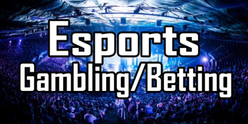 nhung-loai-hinh-ca-cuoc-esport-pho-bien-duoc-nhieu-anh-em-ua-chuong