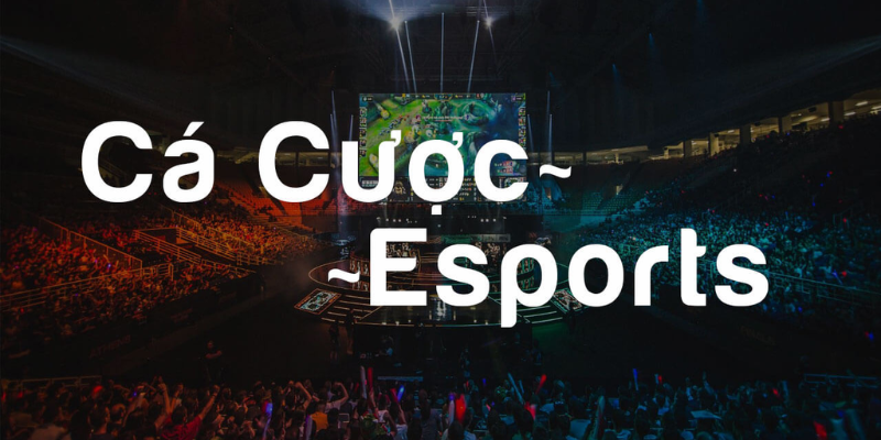 kinh-nghiem-cua-cao-thu-de-ca-cuoc-esport-thanh-cong