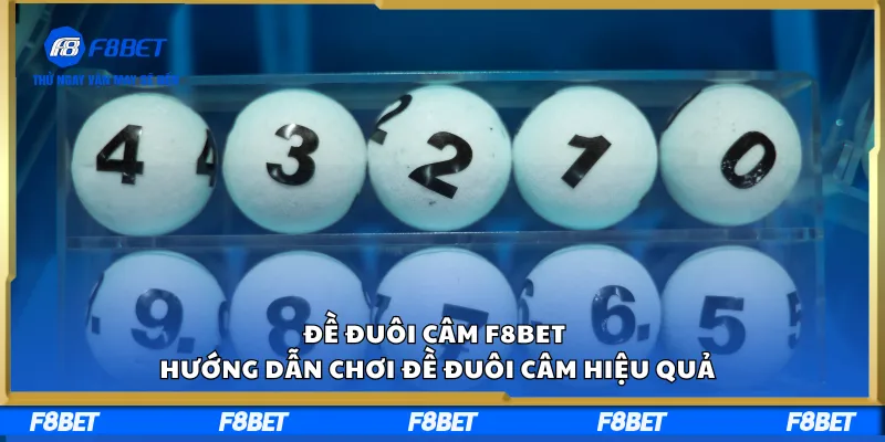 Đề Đuôi Câm F8BET – Hướng Dẫn Chơi Đề Đuôi Câm Hiệu Quả