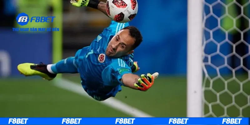 Những yếu tố quyết định kèo tổng số lần cản phá bóng