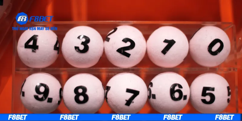 Chiến lược nuôi lô khung 2 ngày với phân bổ vốn hợp lý